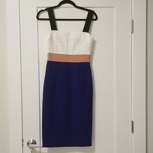 Raoul colorblock fitted dress with back zipper